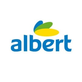 Pavel Večeř, Albert