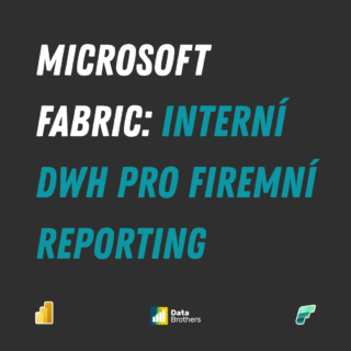 Microsoft Fabric_internal DWH for company reporting